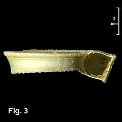 7127-1.jpg (95057 bytes)