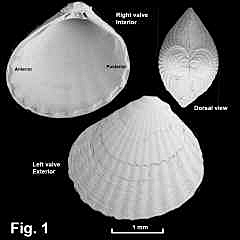 8134-1.jpg (378300 bytes)