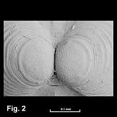 8139-1.jpg (473465 bytes)