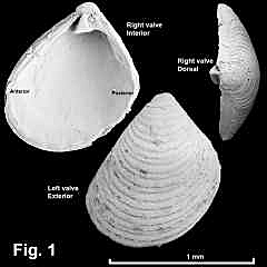 8160-1.jpg (412971 bytes)