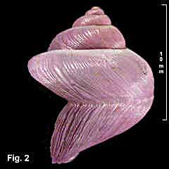 4235-1.jpg (106398 bytes)