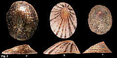 2841-1.jpg (106415 bytes)