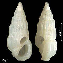 4826-1.jpg (110044 bytes)