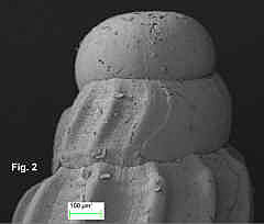 6497-1.jpg (126069 bytes)