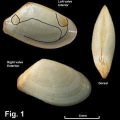 8282-1.jpg (538392 bytes)