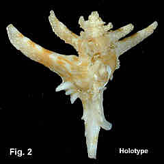 0160-1.jpg (86141 bytes)